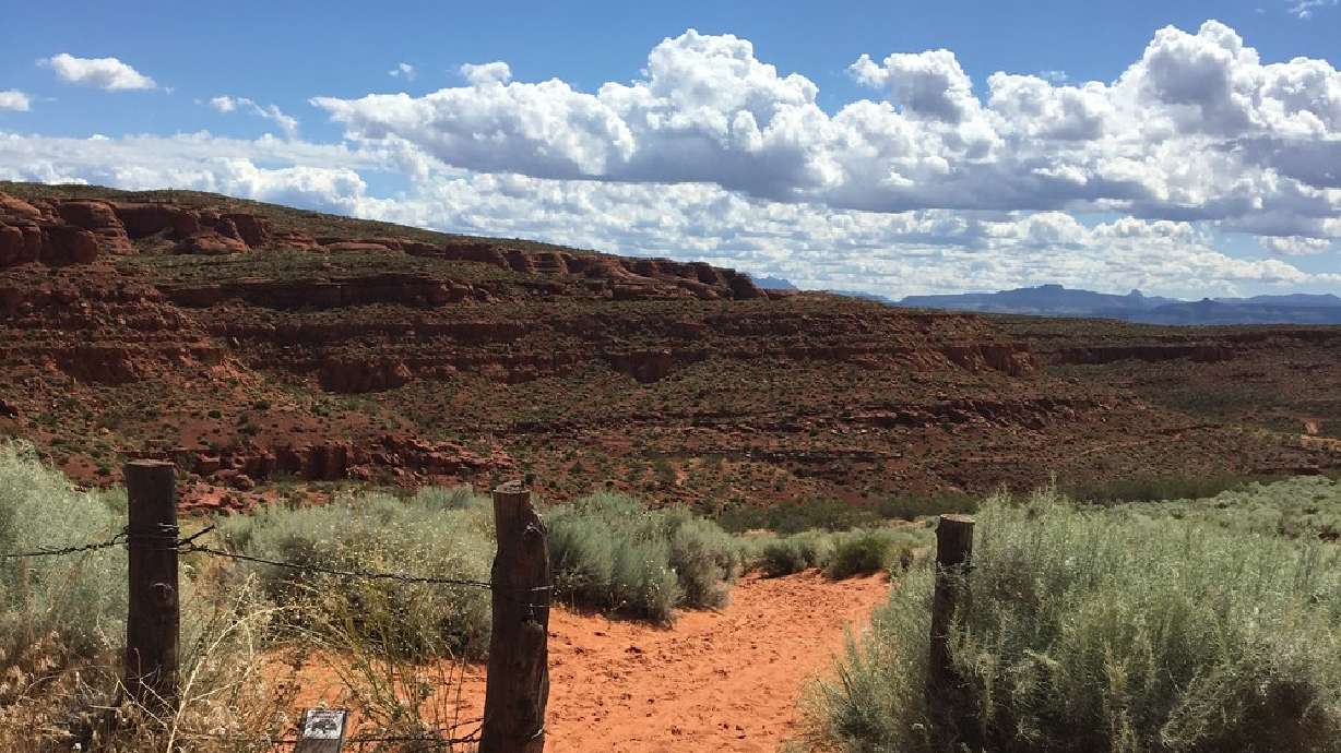Hike of the Week: Explore animal-themed sites with whole family at Red Cliffs Desert Reserve