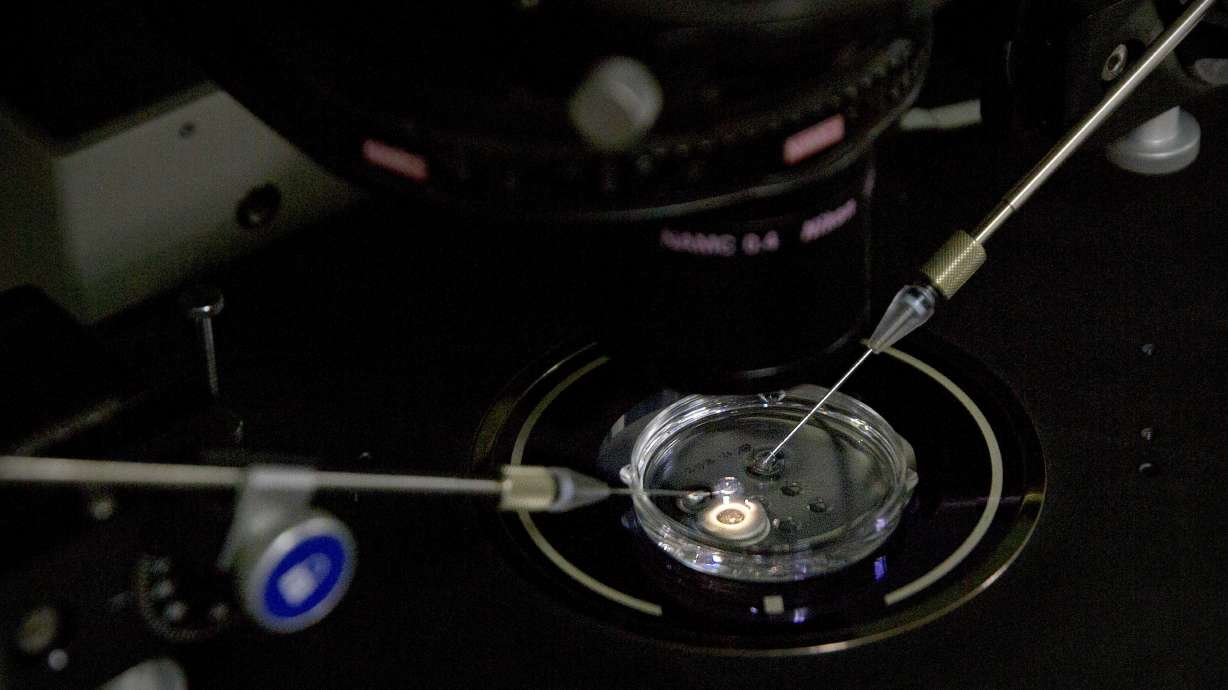 Mutation that protects against HIV raises death rate