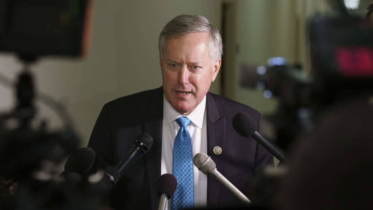 Trump halts fetal tissue research by government scientists