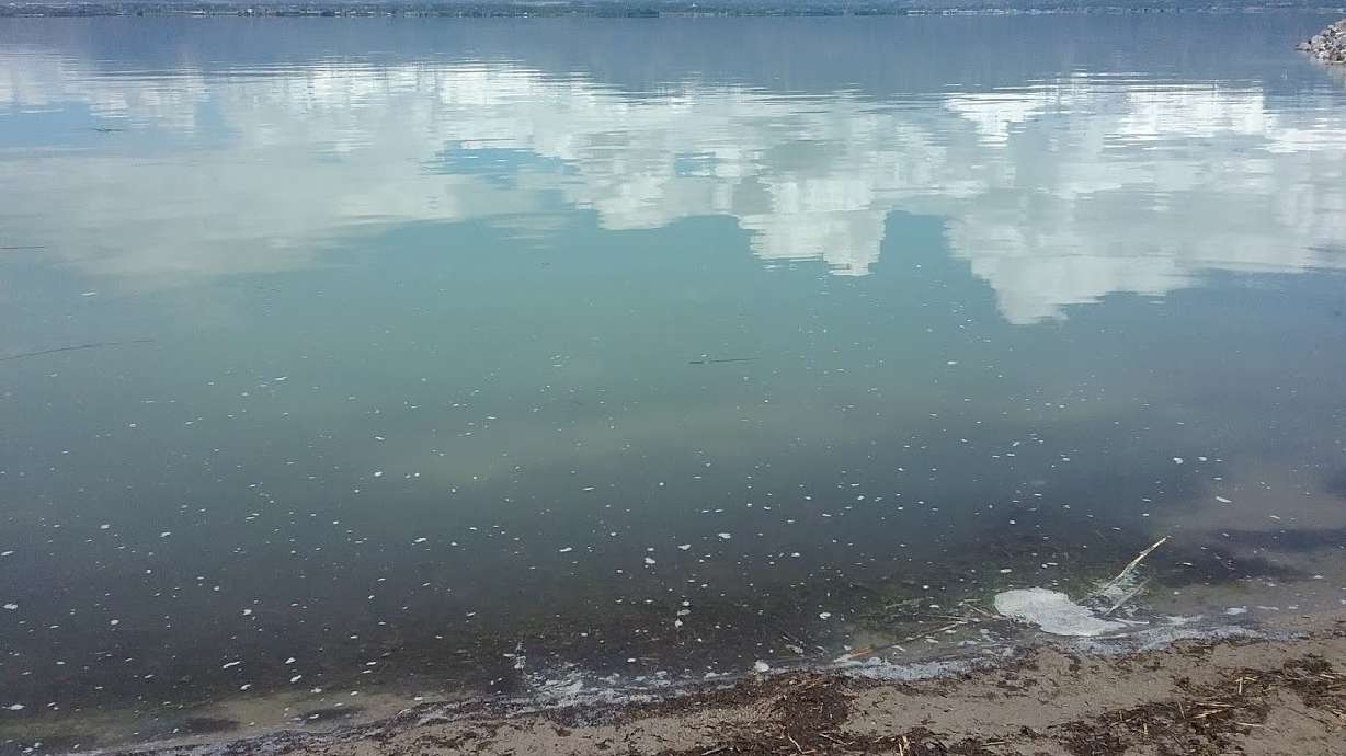 Algal bloom warning advisory lifted for Saratoga Springs Marina