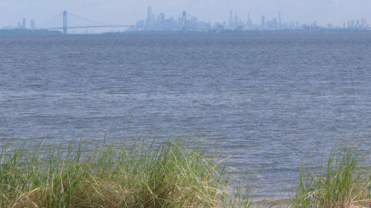 Firm to reapply for permits to build northeast gas pipeline