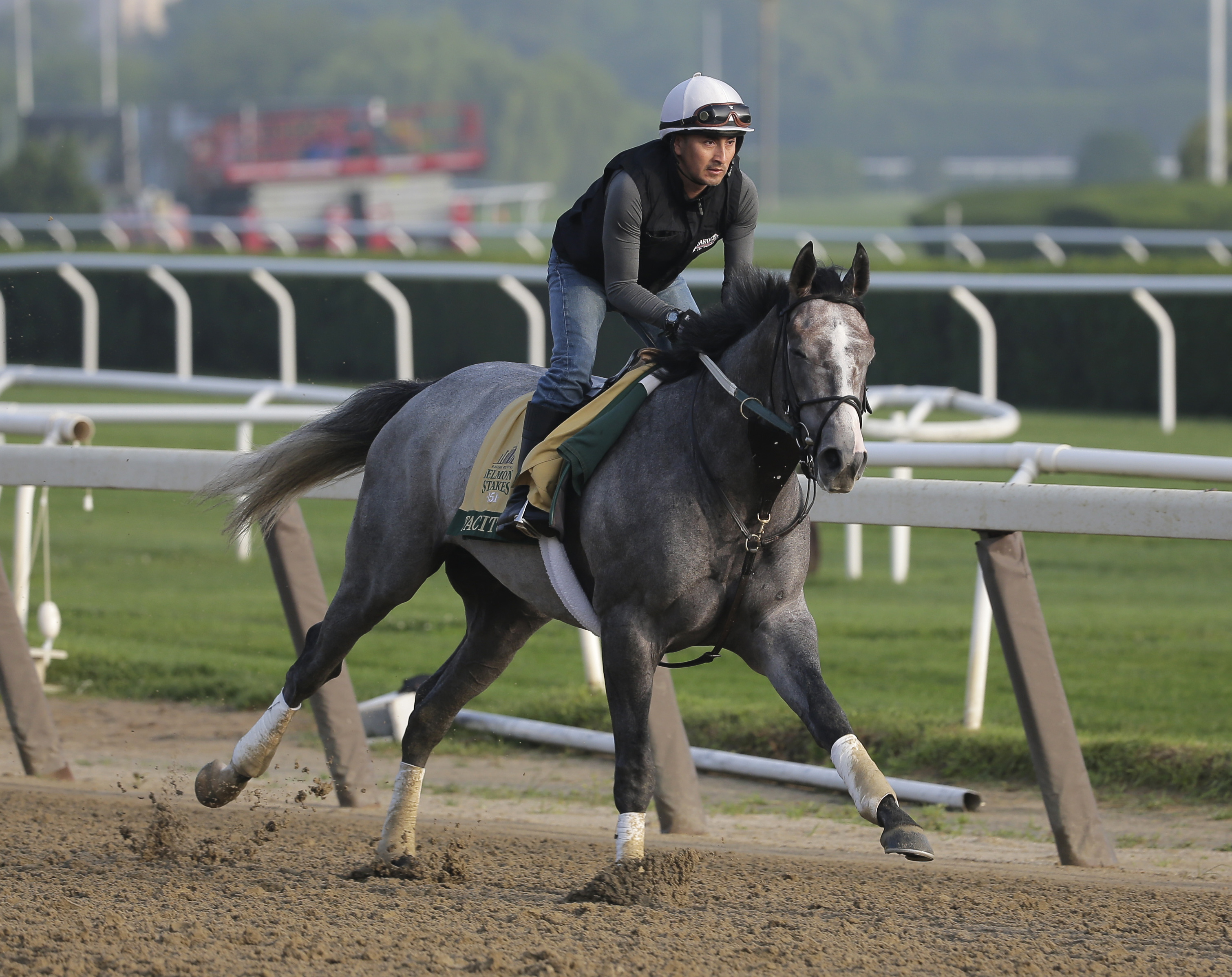 Trainer Bill Mott trying to win Belmont, and without mayhem