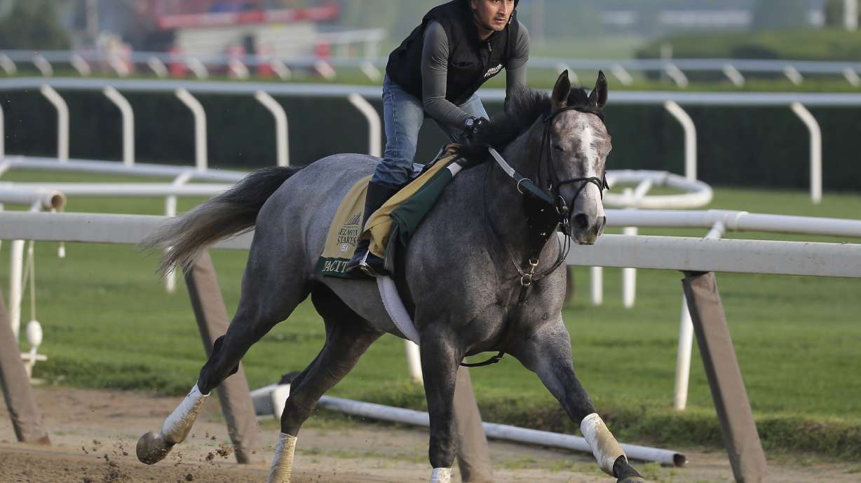 Trainer Bill Mott trying to win Belmont, and without mayhem