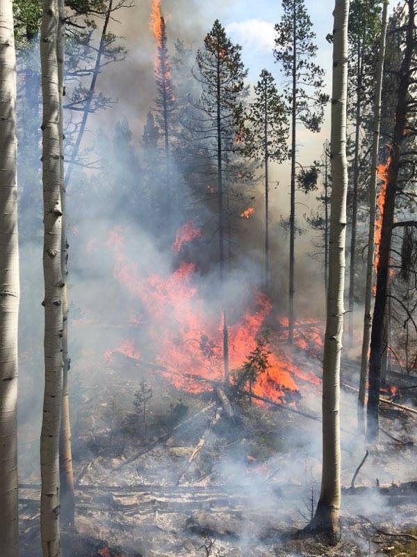 Review shows what went wrong with Utah's Pole Creek, Bald Mountain fires
