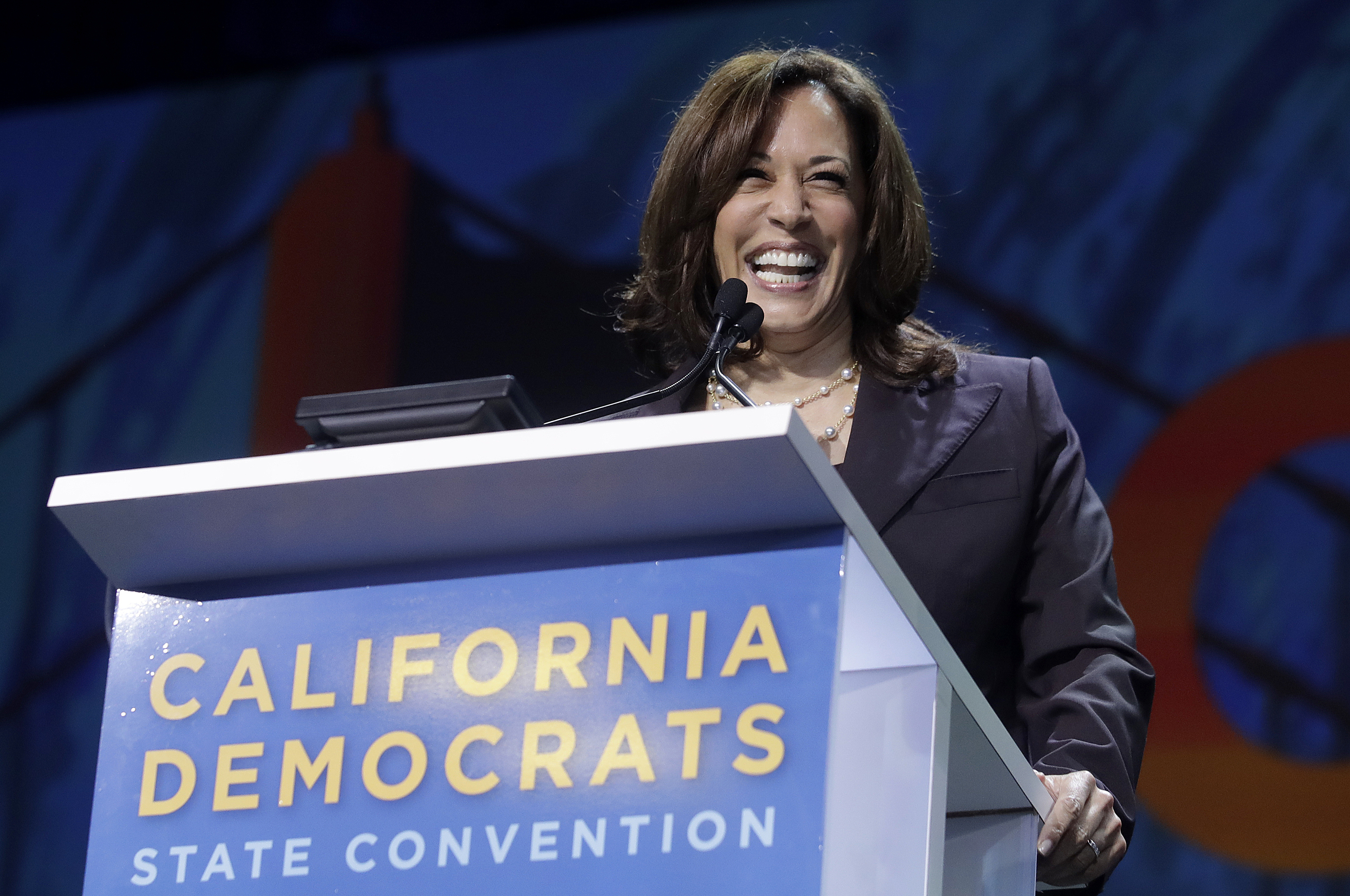 Iowa Democrats warn that Kamala Harris' 'star is fading'
