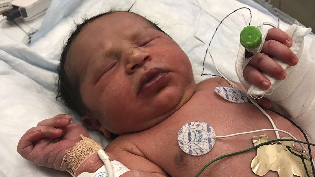 Baby found alive in plastic bag in woods; mother sought