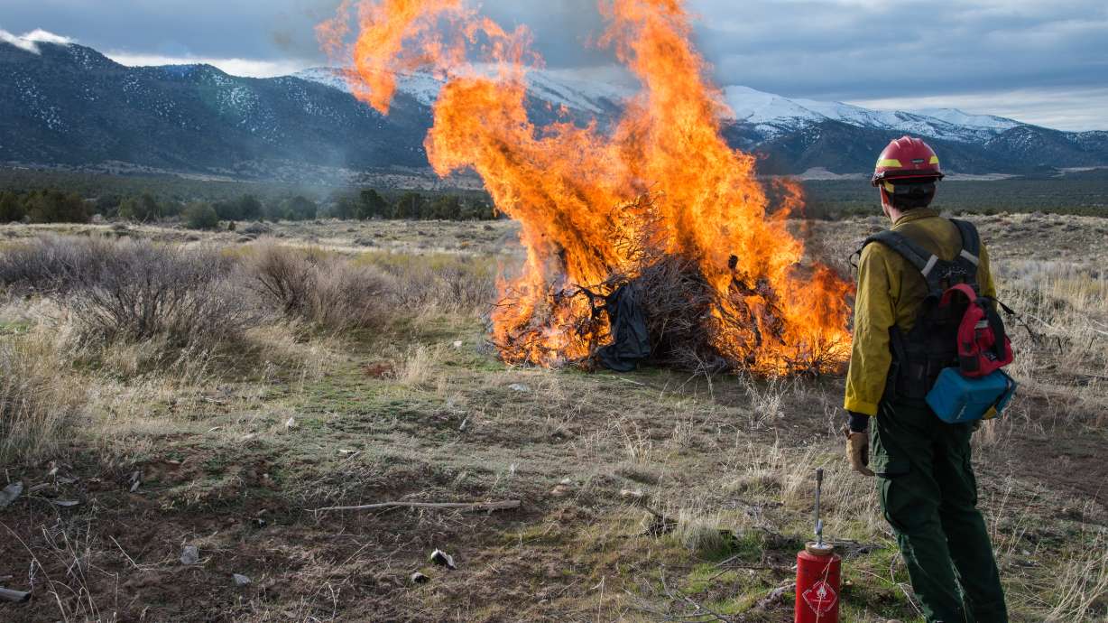 BLM will conduct controlled burn in Utah County to protect against wildfires