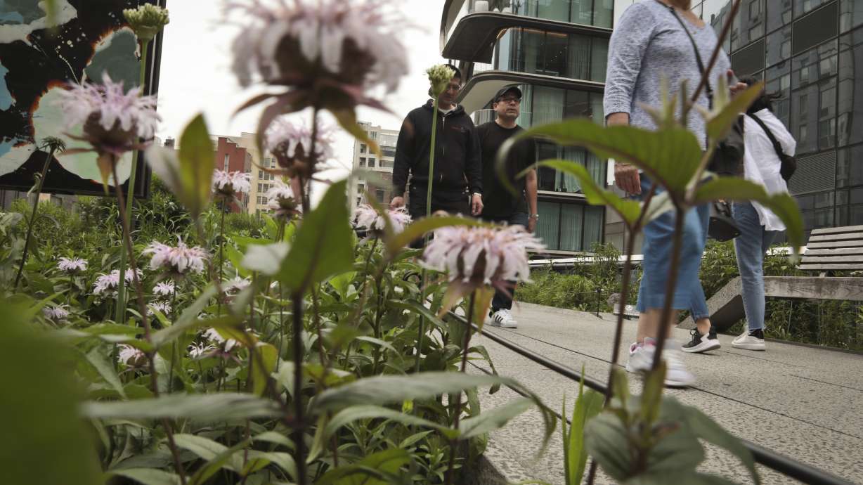 New York's High Line park marks 10 years of transformation