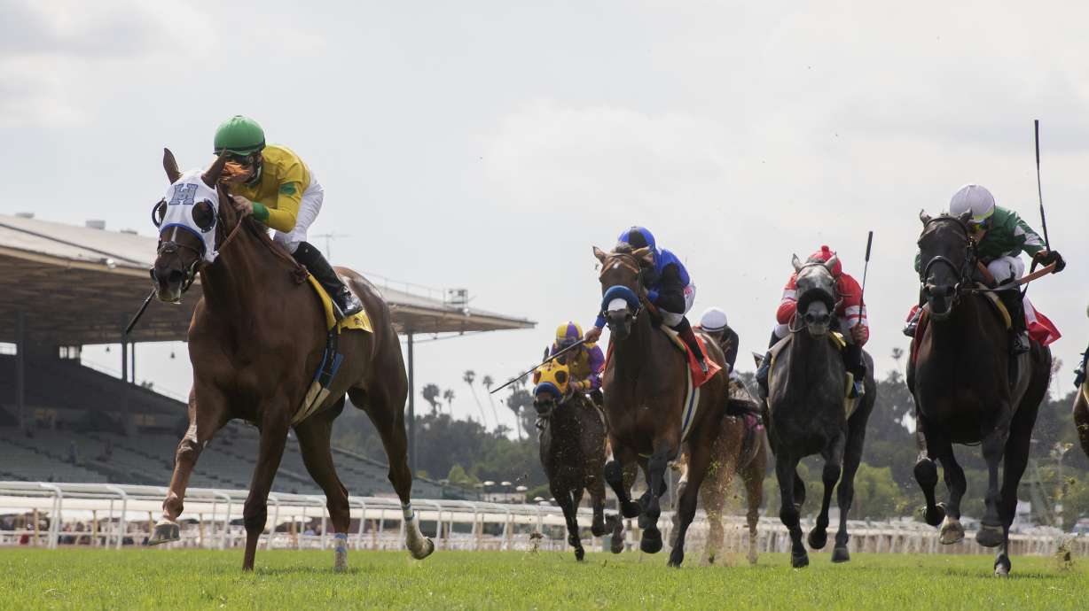 2nd horse in 2 days, 29th overall, dies at Santa Anita