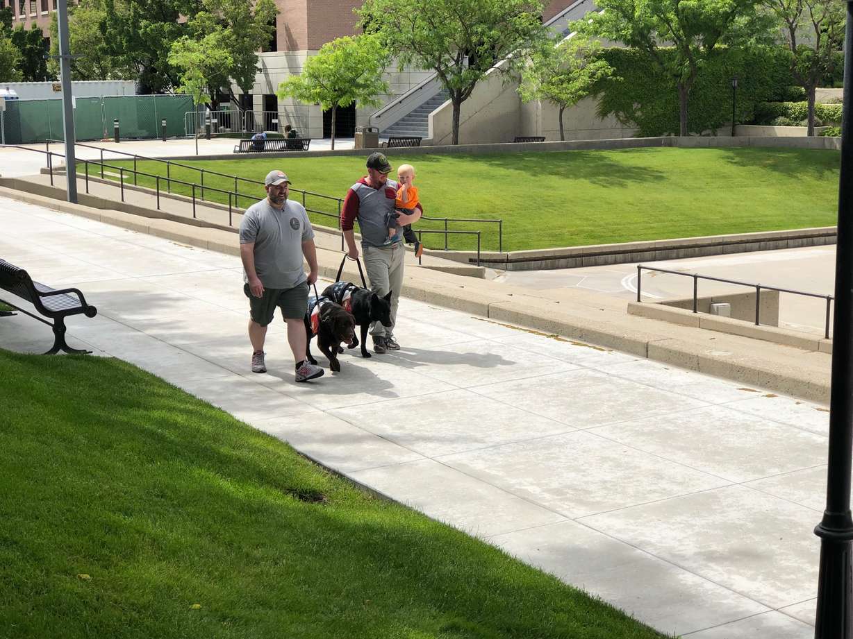 Service dogs are protected by the American With Disabilities Act (ADA) under both state and federal law. Business owners are only allowed to ask if an animal is a service animal required for a disability and what type of service the animal is trained to do. (Jed Boal, KSL TV)