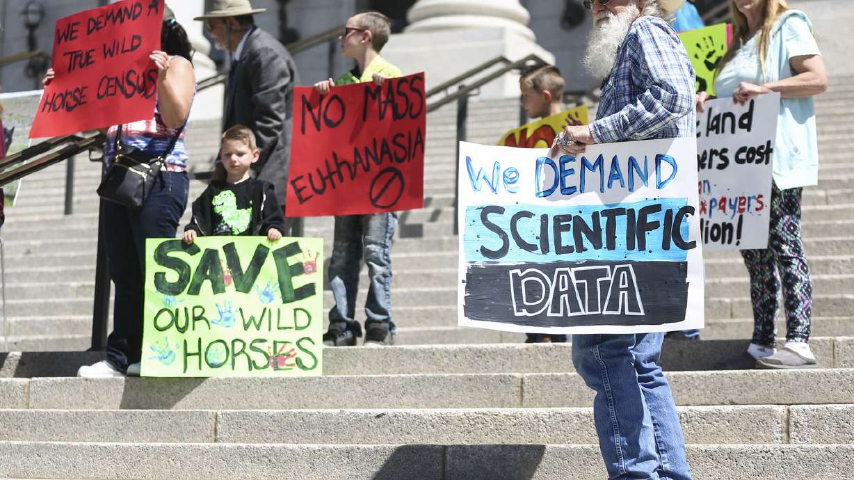 Wildlife advocates oppose euthanizing wild horses and burros