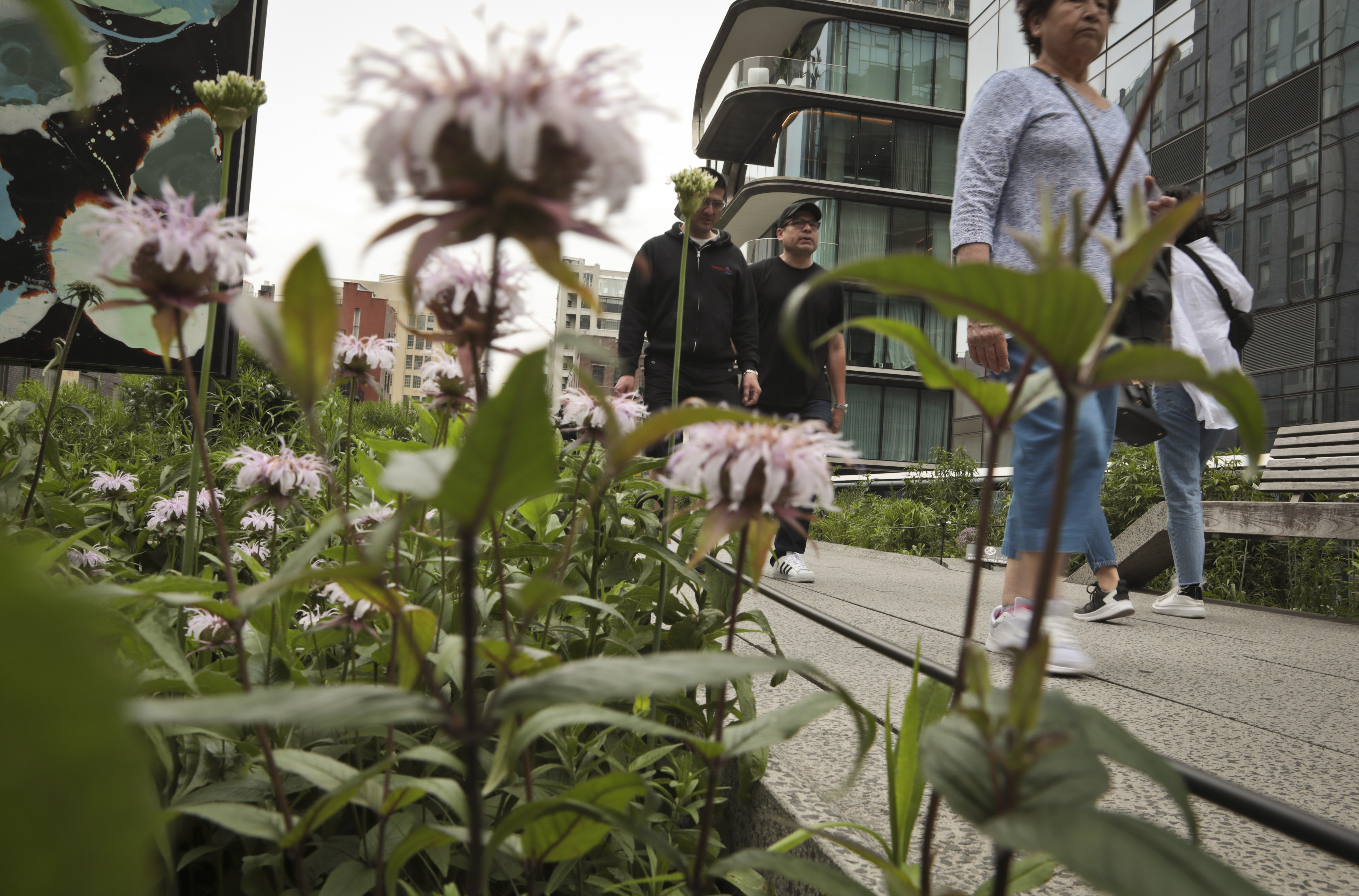 New York's High Line park marks 10 years of transformation
