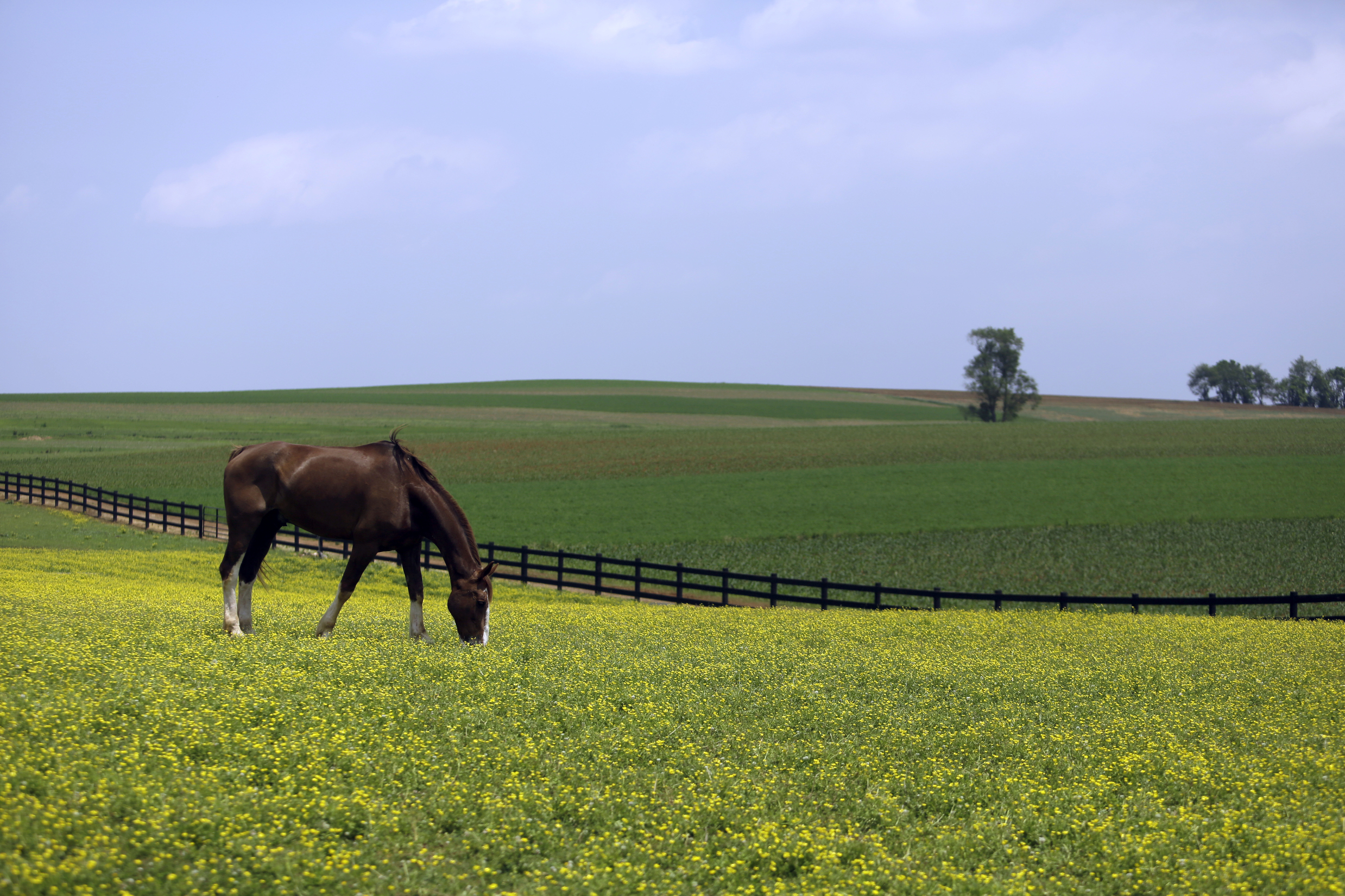 Wholesale prices blip up 0.1% in May