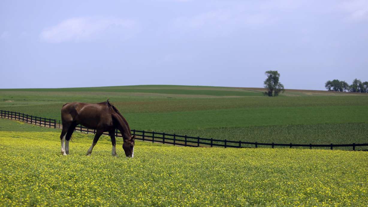 Wholesale prices blip up 0.1% in May