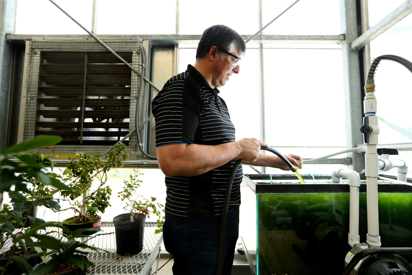 How have wildfires affected Utah Lake? Researchers are looking into it