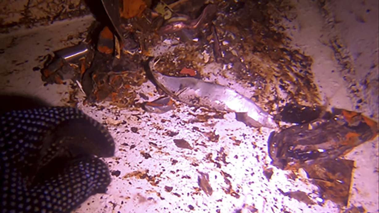 The Latest: Iran urges regional dialogue to ease tensions