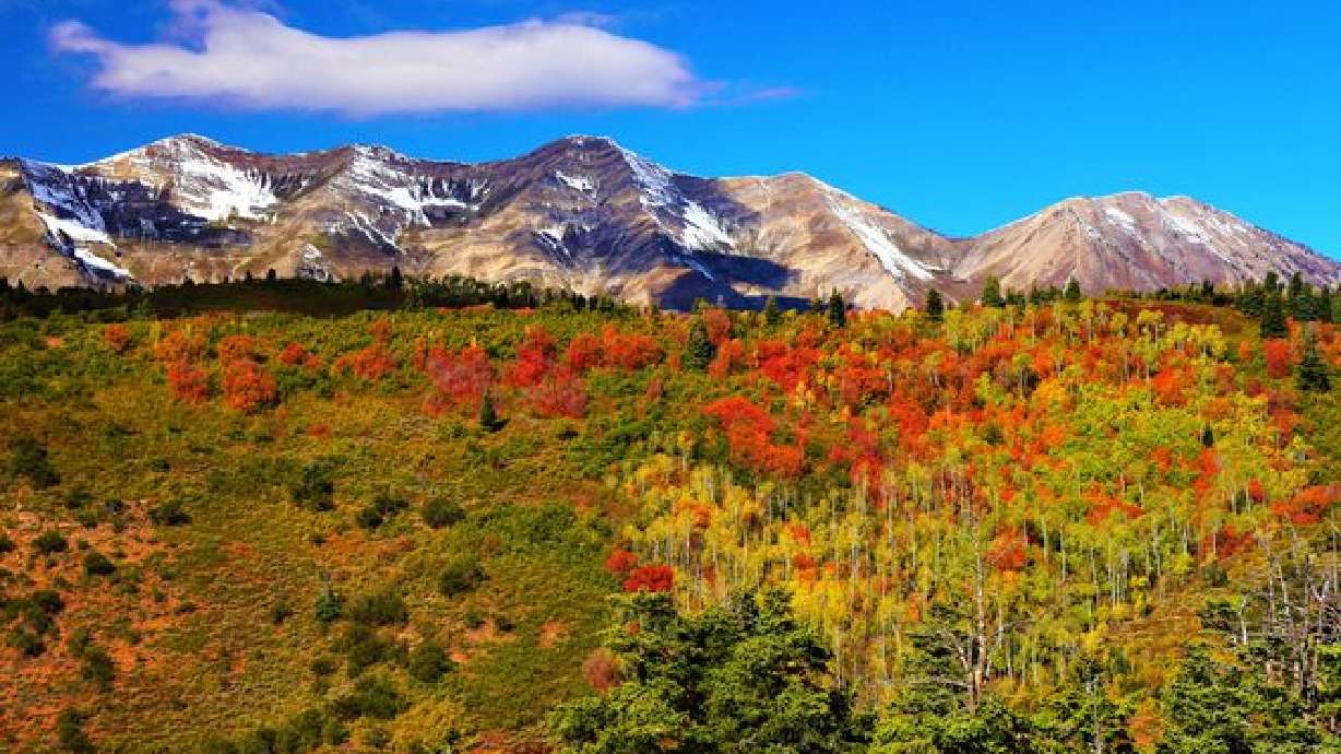 Hike of the week: Conquering Mount Nebo