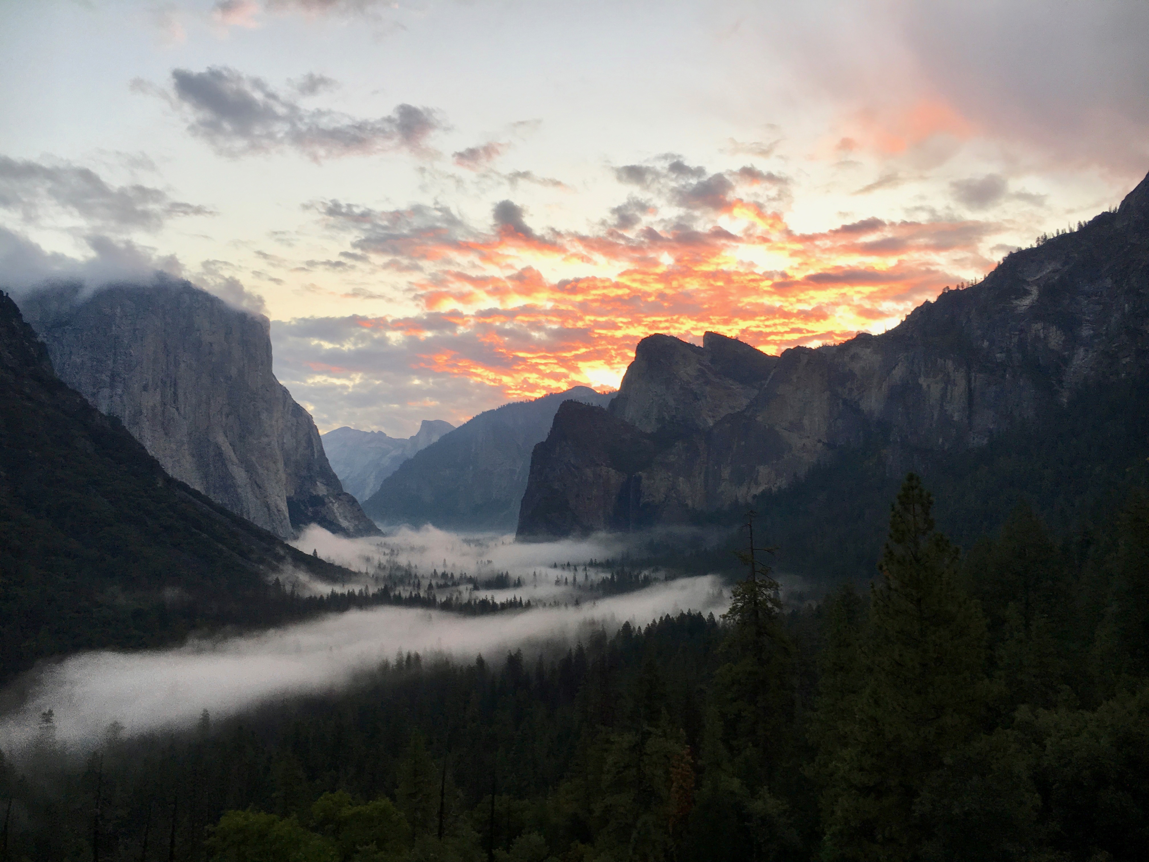 Spending time in nature boosts health, study finds