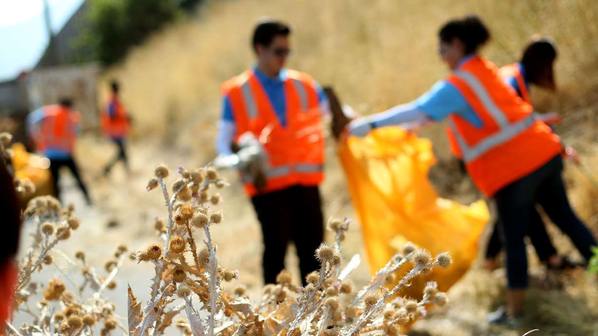 Bayer to invest $5.6 billion in new weed killing methods
