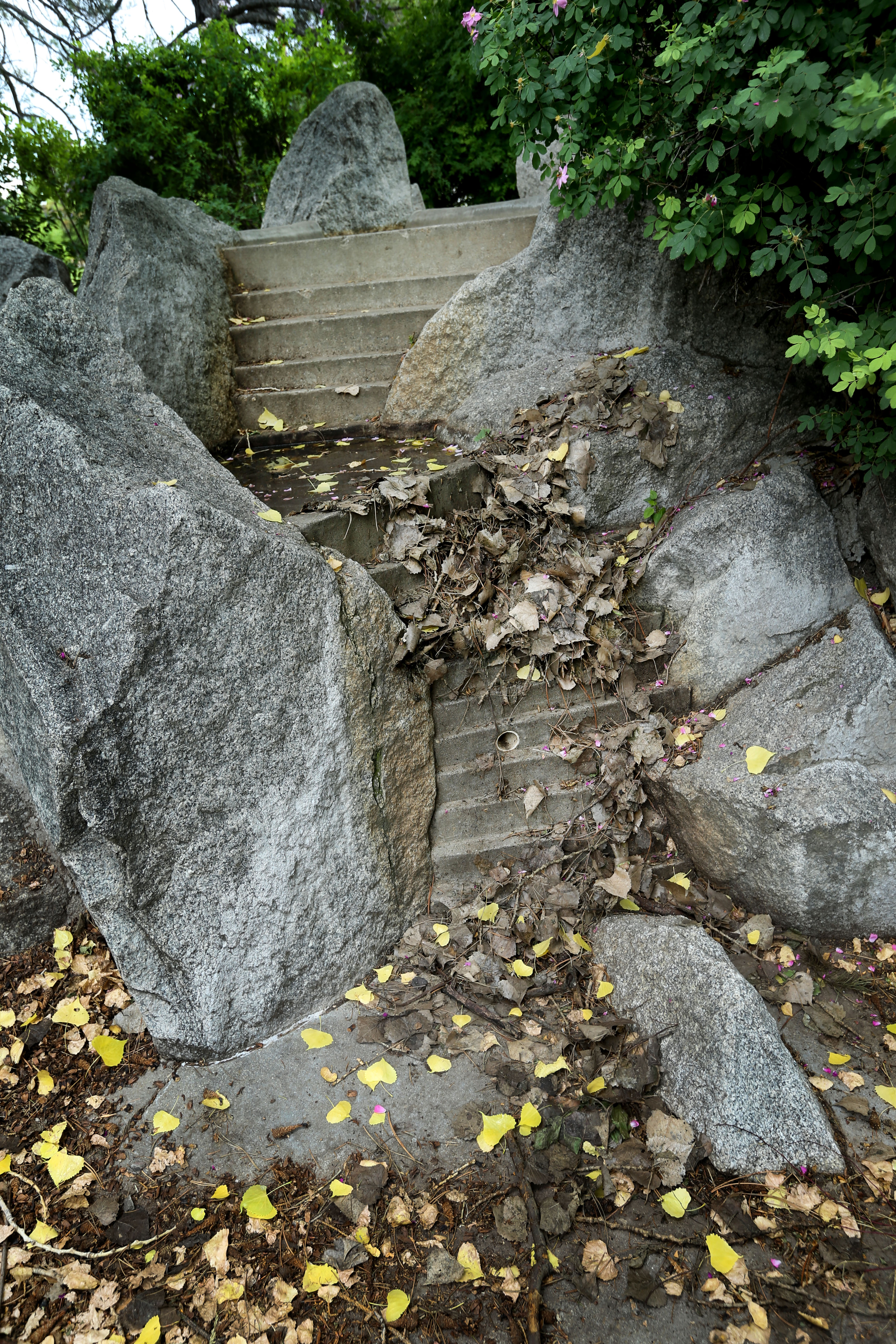 Leaves and mud collect in the Seven Canyons Fountain in Salt Lake City's Liberty Park on Thursday, June 13, 2019. The fountain was closed two years ago due to health and safety concerns. The city is now working to come up with solutions and funding to reopen it. (Laura Seitz, KSL)