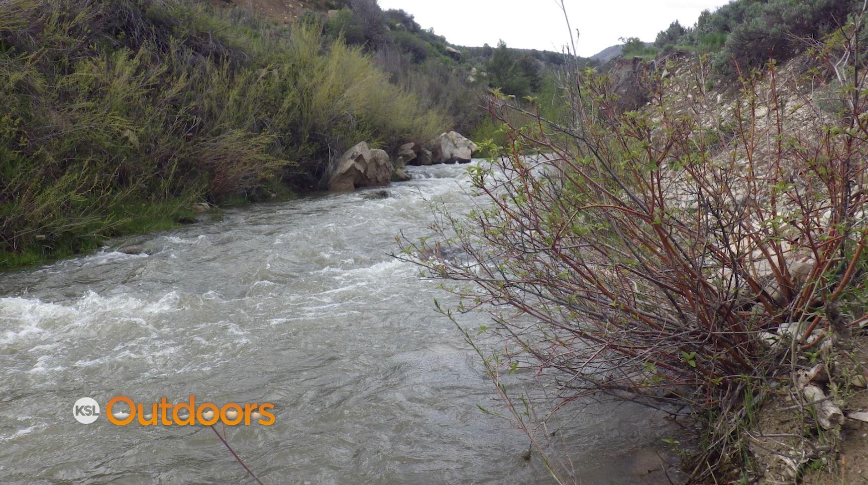 Fish Tech Fishing Tip: Using Mop Flies in Muddy Water