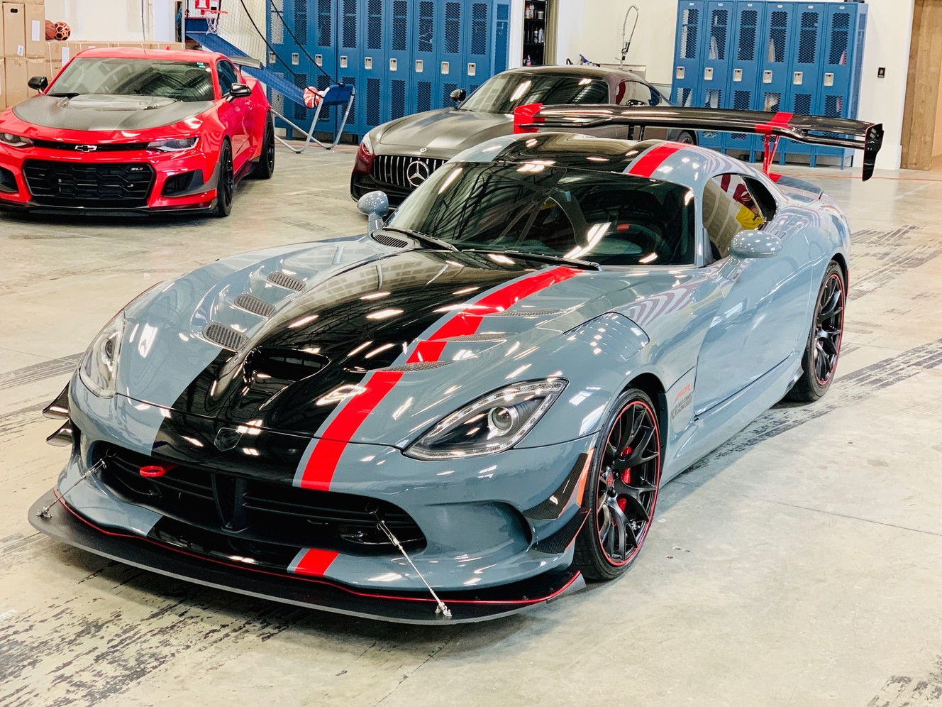 Utah Business Owner Adds A Rare Viper To His Collection Ksl Com Utah Business Owner Adds A Rare Viper To His Collection Ksl Com