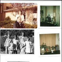 Couple finds photo albums full of pictures, hopes they can find the rightful owner