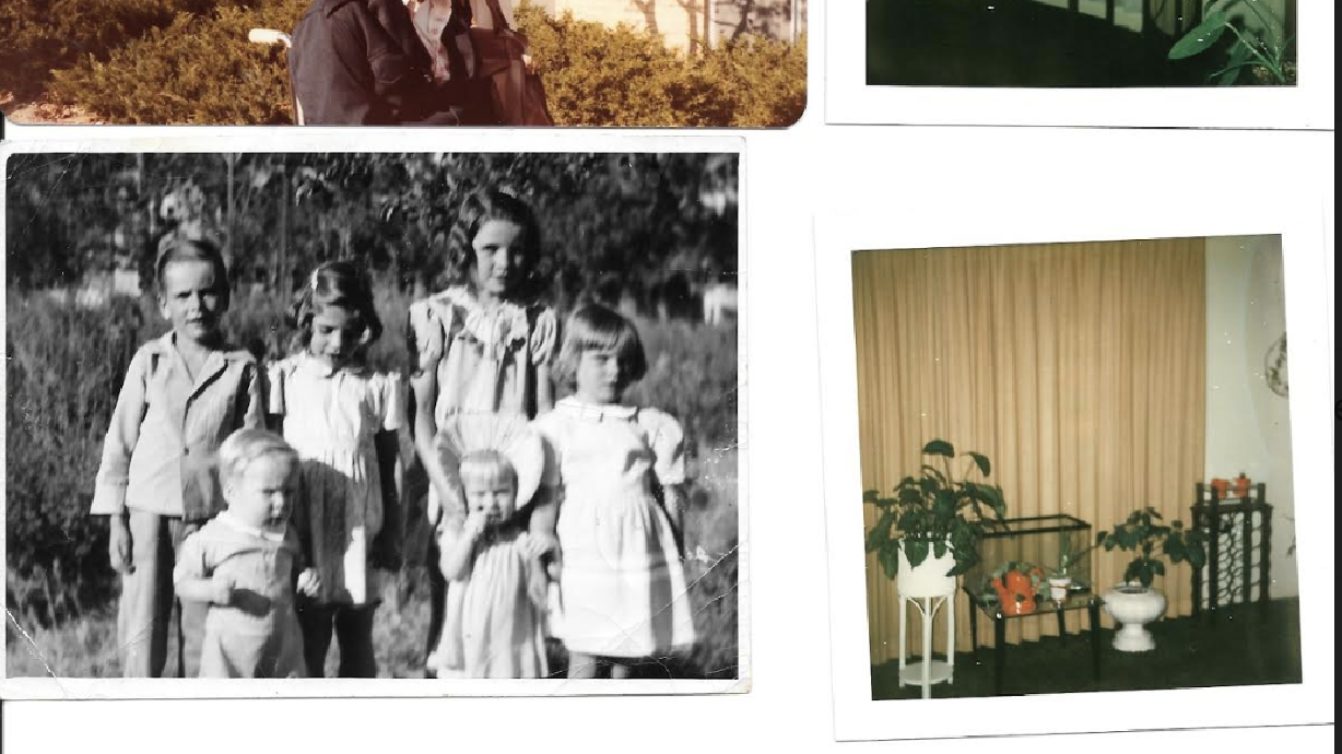 Couple finds photo albums full of pictures, hopes they can find the rightful owner