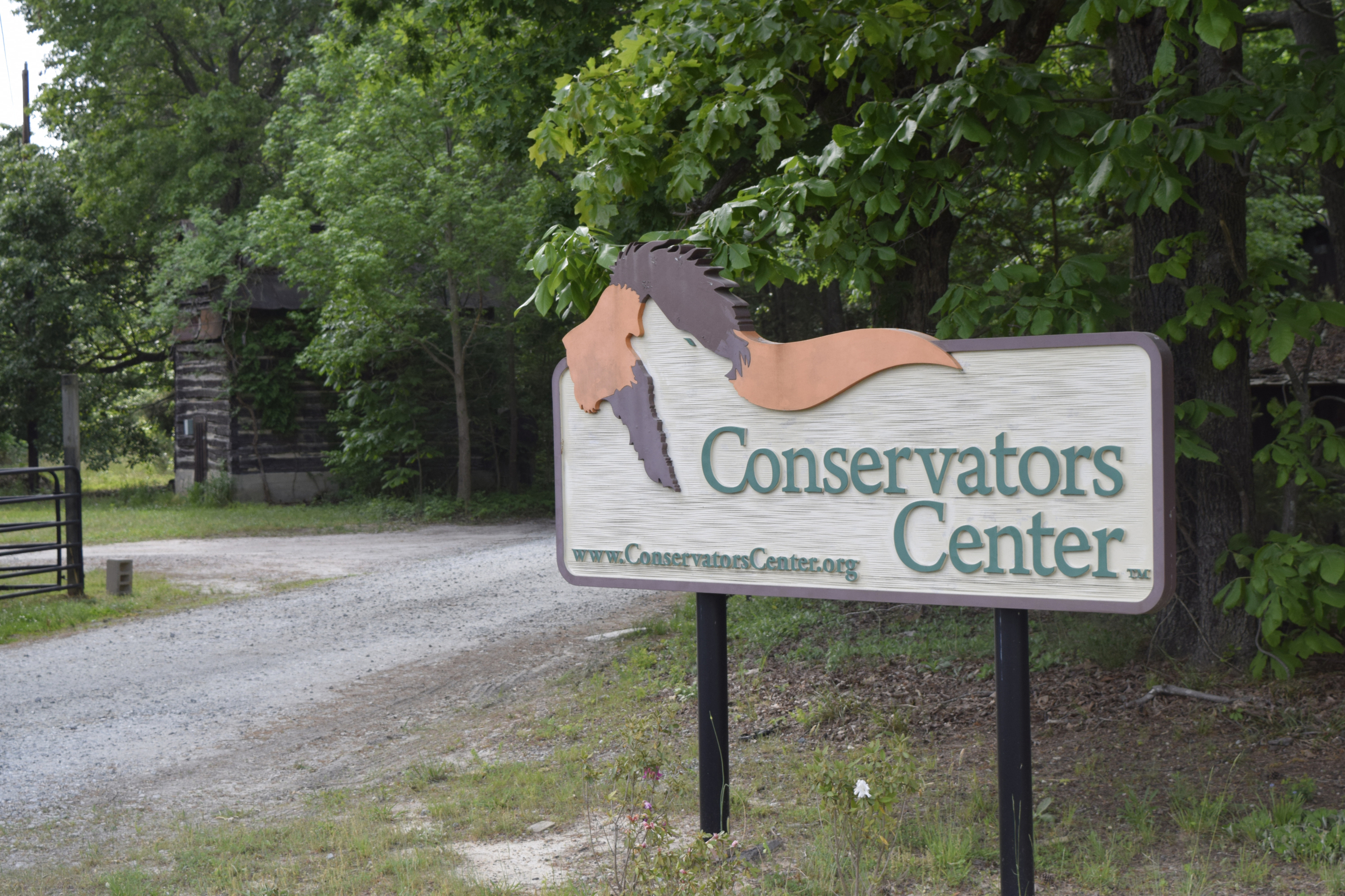 Fatal lion attack nets 3 'serious' violations for center