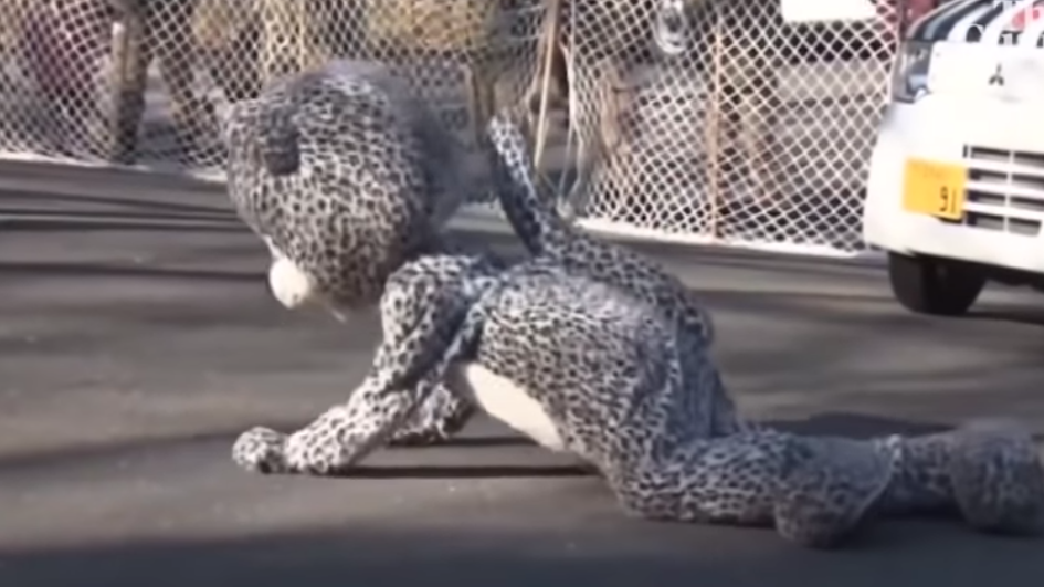 Have You Seen This? Japan zoo escape drill goes viral