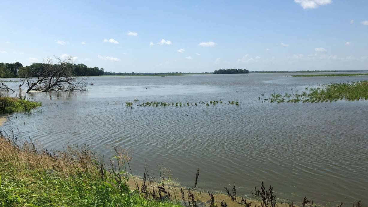 River flooding in Tennessee ruins cotton, soybean crops