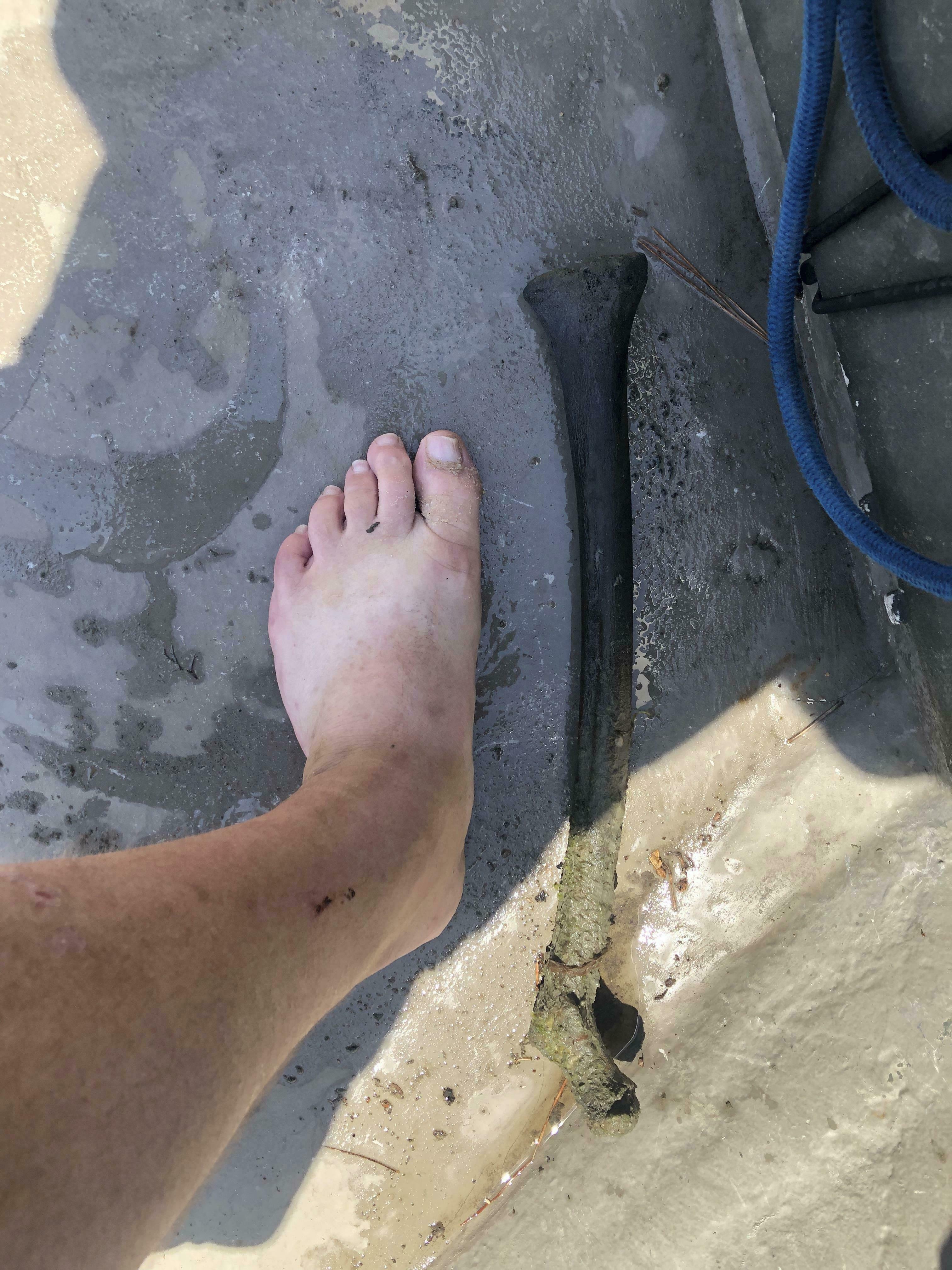 Fisherman nets human leg bone in creek near Chesapeake Bay