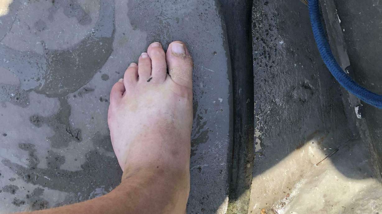 Fisherman nets human leg bone in creek near Chesapeake Bay