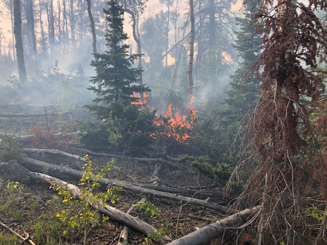 Wildfire updates: Skull Flat Fire burns on, Big Hollow Fire grows