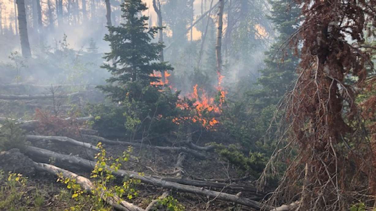 Wildfire updates: Skull Flat Fire burns on, Big Hollow Fire grows