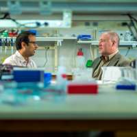 U researchers make tiny change in metabolism of mice, successfully reverse prediabetes