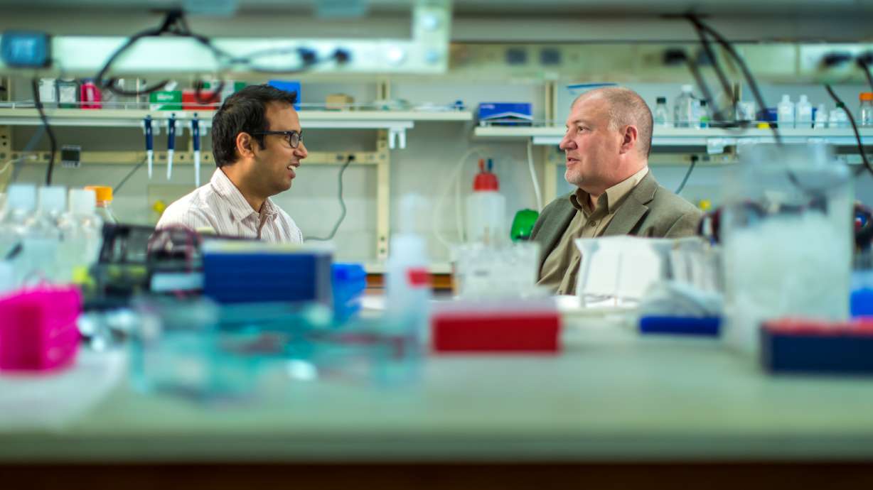 U researchers make tiny change in metabolism of mice, successfully reverse prediabetes