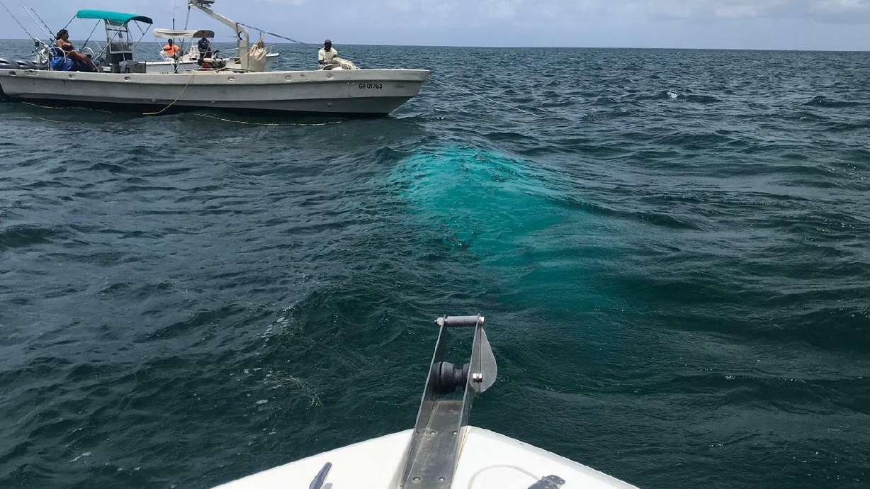 Investigators recover helicopter that crashed in Bahamas