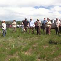 1 year after the Dollar Ridge wildfire, biologists are optimistic about the future