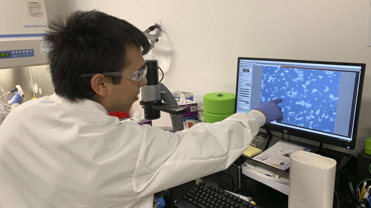 Fresh from the lab: Startups make meat that avoids slaughter