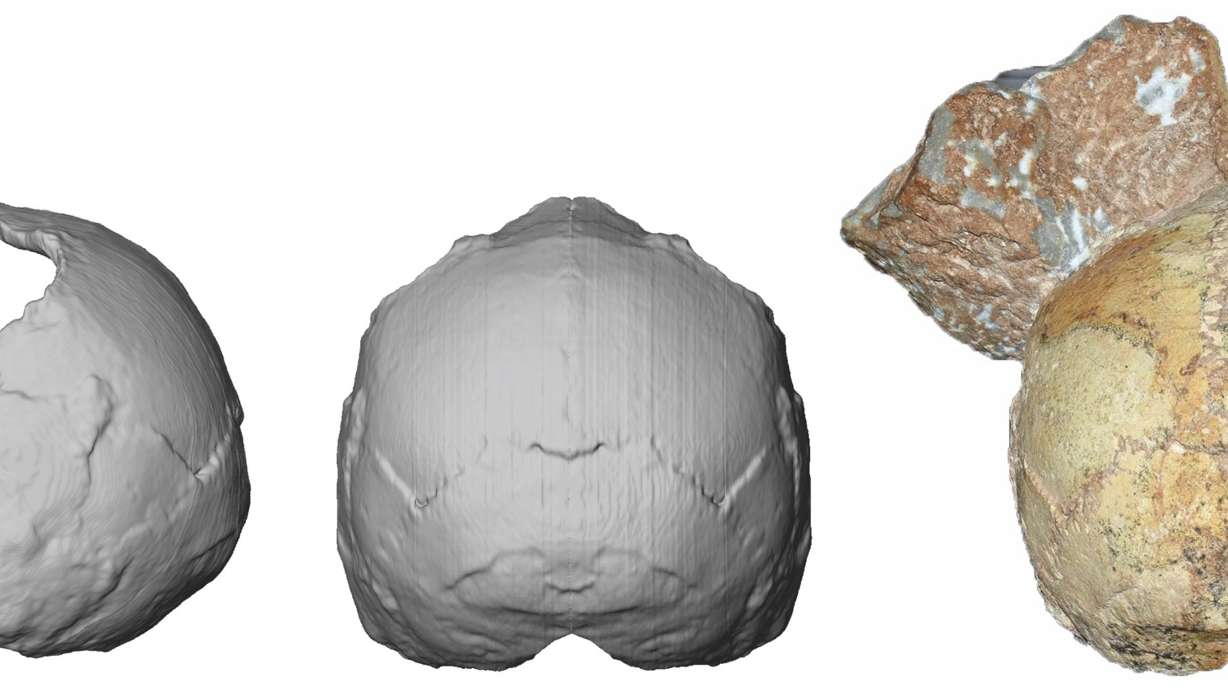 Greek find called earliest sign of our species out of Africa