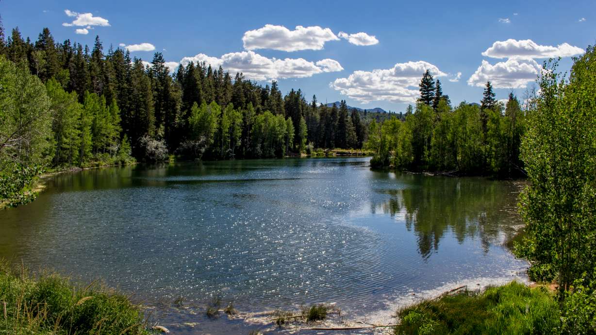 Utah DEQ warns residents of algal blooms in McClellan Lake