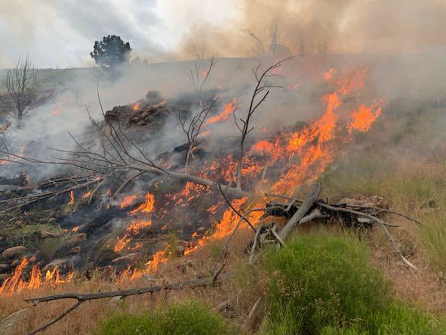 Crews fight new fire at Leamington Pass, extinguish 2 brush fires