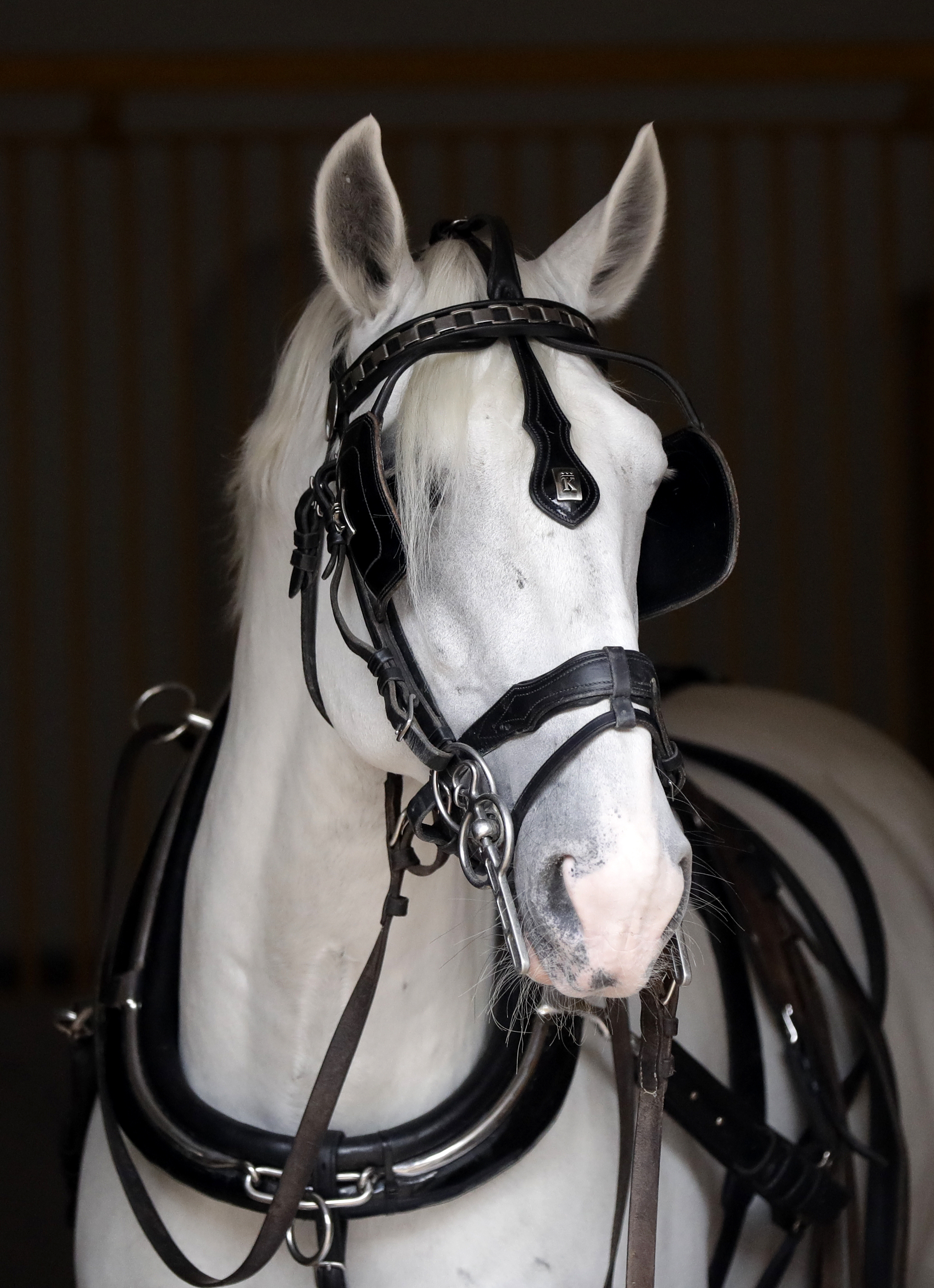 Czech stud farm makes UNESCO's World Heritage list