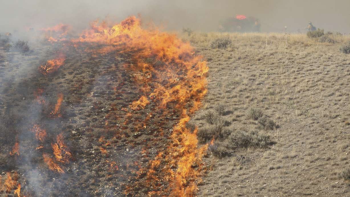 Plan to slow Western wildfires would clear strips of land