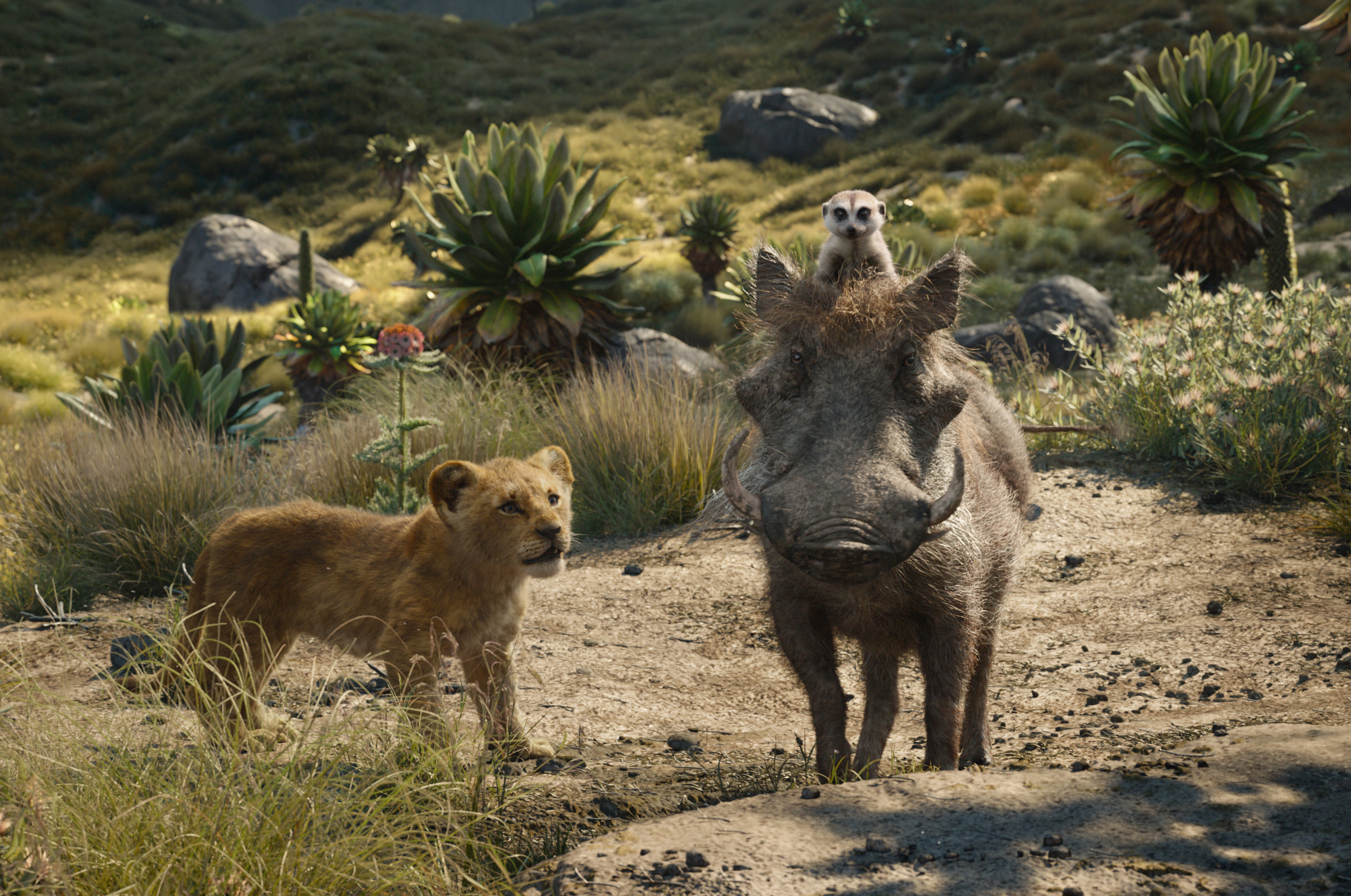 'The Lion King' bites off $185 million debut, a July record