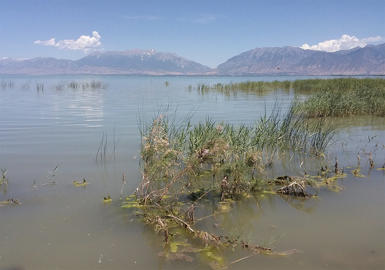 Lakewide health advisory lifted at Utah Lake, but some areas remain under warnings