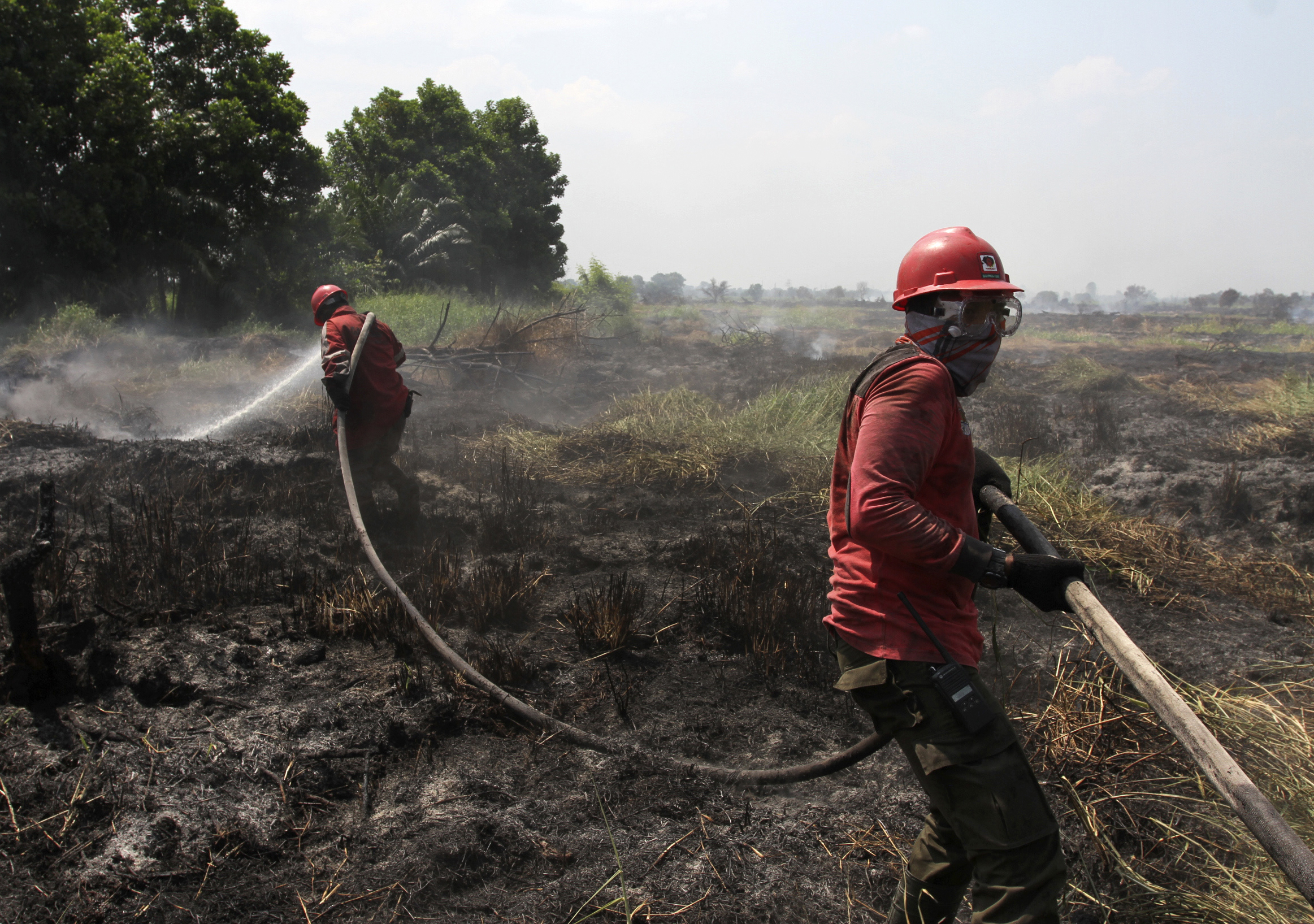 Indonesia steps up response to massive forest fires