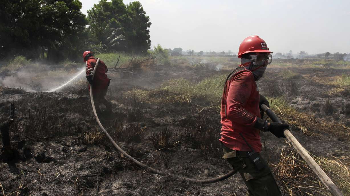 Indonesia steps up response to massive forest fires