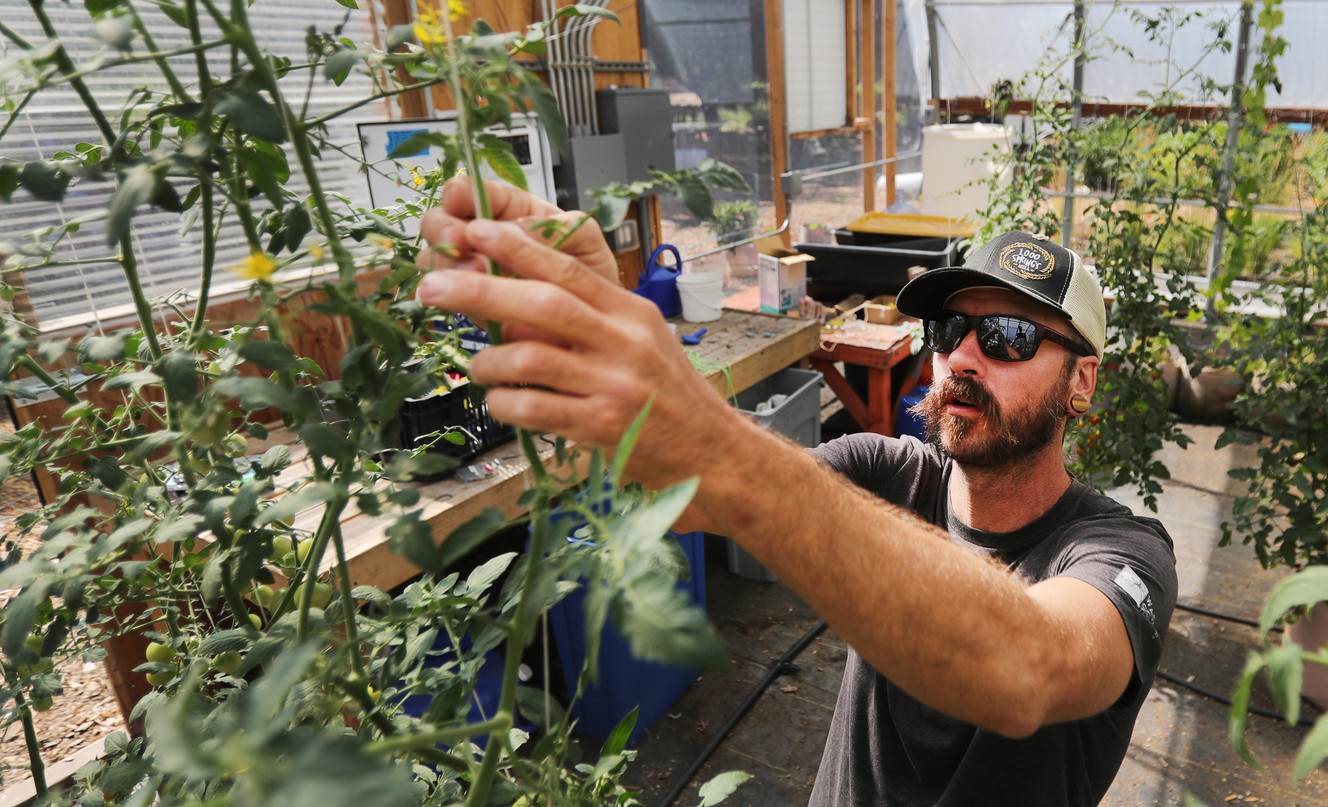 Family of entrepreneurs looks to pioneer vertical farming in Utah